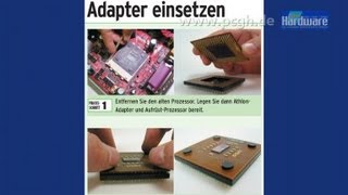 Schluss mit dem Aufrüstwahnsinn, CPU-Adapter und Killergemüse - humoriger Rückblick auf PCGH 09/2003