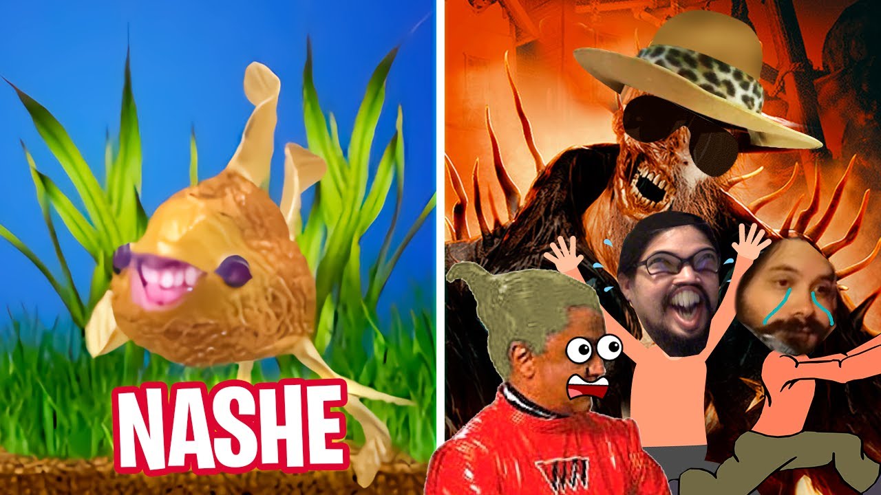 Mientras DROSS duerme 🐟 SU PEZ: