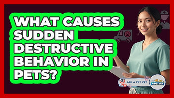 What Causes Sudden Destructive Behavior In Pets?