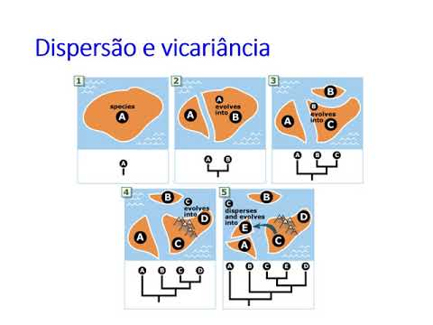 Vídeo: Diferença Entre Dispersão E Vicariação