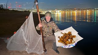 Minnow Trapping Catch and Cook! Eating our bait…￼