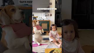 Doodle waiting for his turn 🥹 #dogandbaby #funny #dog #india