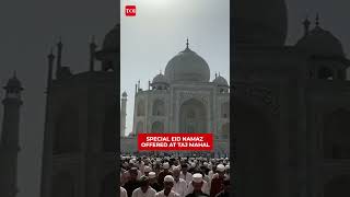 Thousands Offer Special Eid-ul-Adha Prayers Near Taj Mahal | Watch #tajmahal #eidaladha2026 #UP