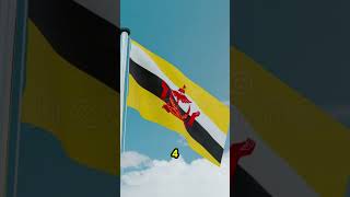 Top 10 Flags From Around The World Youve Never Seen