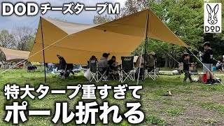 【ファミリーキャンプ】大型タープを試し張りしにデイキャンプ！DODチーズタープMは大人数に最適、設営手順、ワンタッチタープから脱却、焚き火もできるポリコットンタイプ（TC）、彩湖・道満グリーンパーク