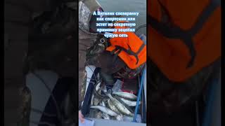 Хоть Кого-Пили водку #ансамбльхотького #fishing #рыбалка #спиннинг #рыбалка2022 #джиг #шансон #юмор