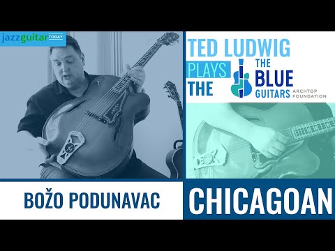 The Božo Podunavac Chicagoan From The Blue Guitar Collection