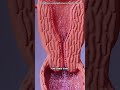 How conception works? #motivation #doctor #epicmusicword #3danimation