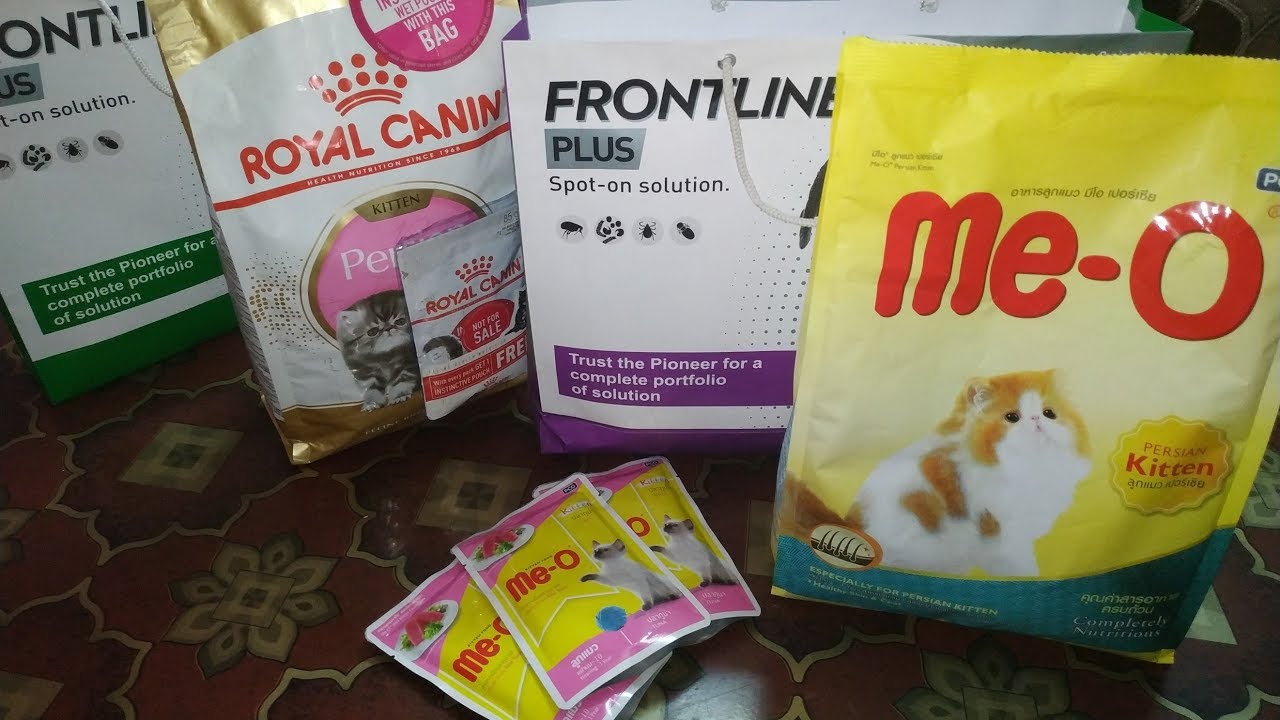 Best Cat/Kitten Food For Persian Cats..Feeding Cat Food ...