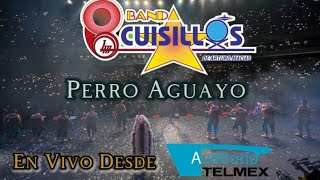Versión 2 del video