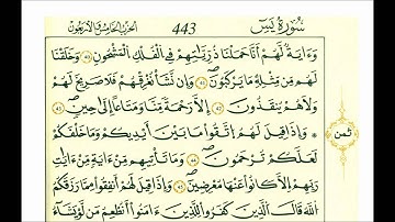 سورة يس-الشيخ علي الحذيفي-رواية قالون