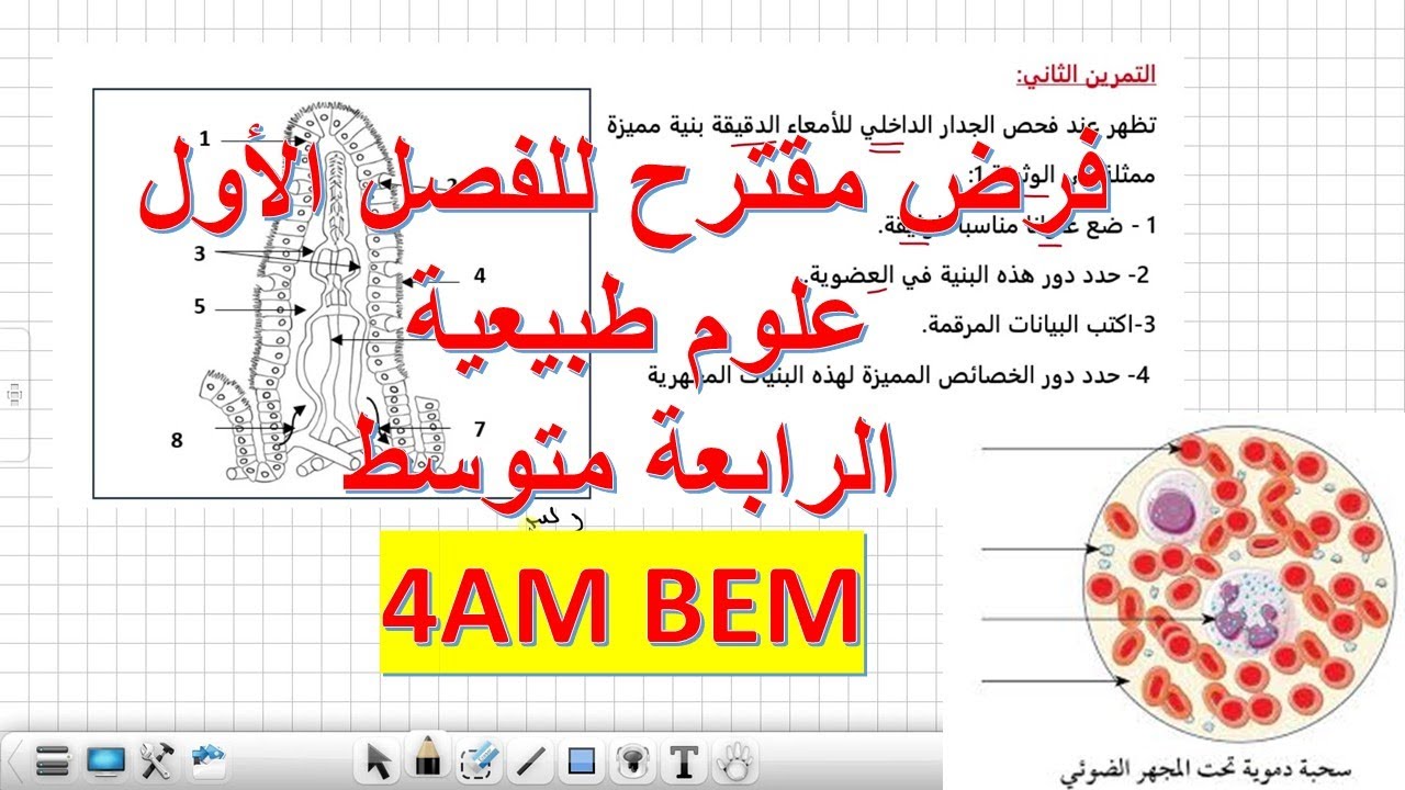 فرض الفصل الأول في العلوم الطبيعية السنة الرابعة متوسط