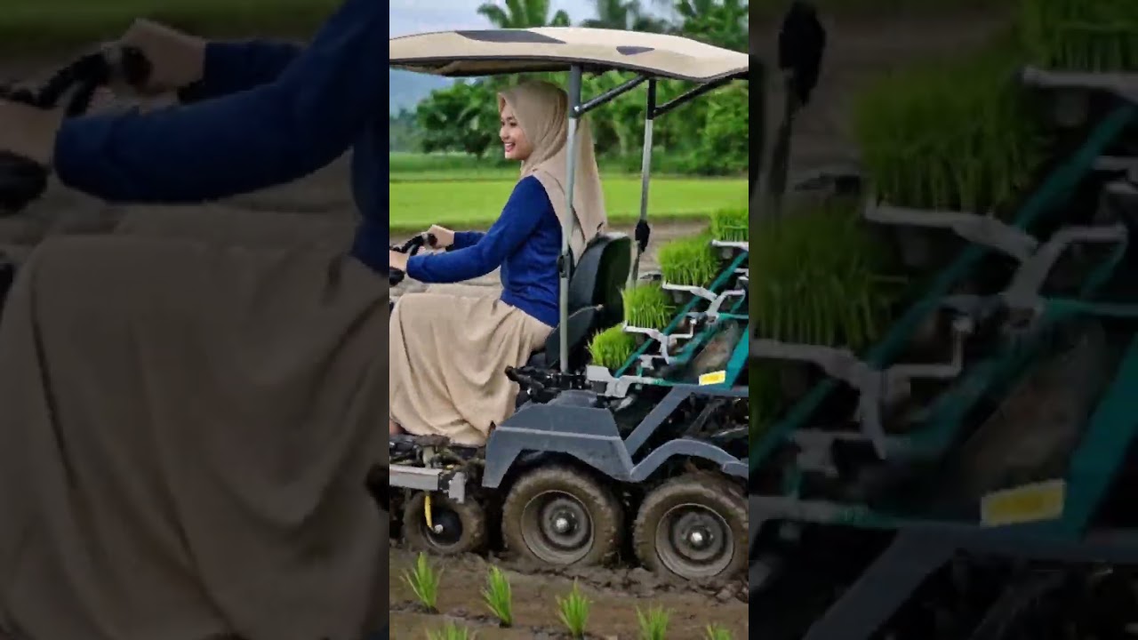 Automatic Rice Seedling Planting Machine 🌾🚜✨