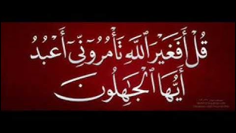 سورة الزمر من الأية 53 67 أكثر من رائعة (المغرب) بصوت الشيخ رفيق خريف مسجد الناصرية لعام 1438هـ