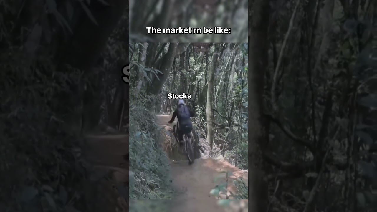 POV: Your diversified portfolio vs. your 'all-in' crypto bag. 💀 