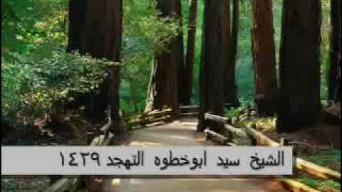 تلاوه خاشعه -الشيخ سيد ابو خطوه.flv