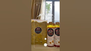 Nước Men Làm Mồi Câu Cá Tráp (Hanh) 330ml #ikada #shorts #catrap