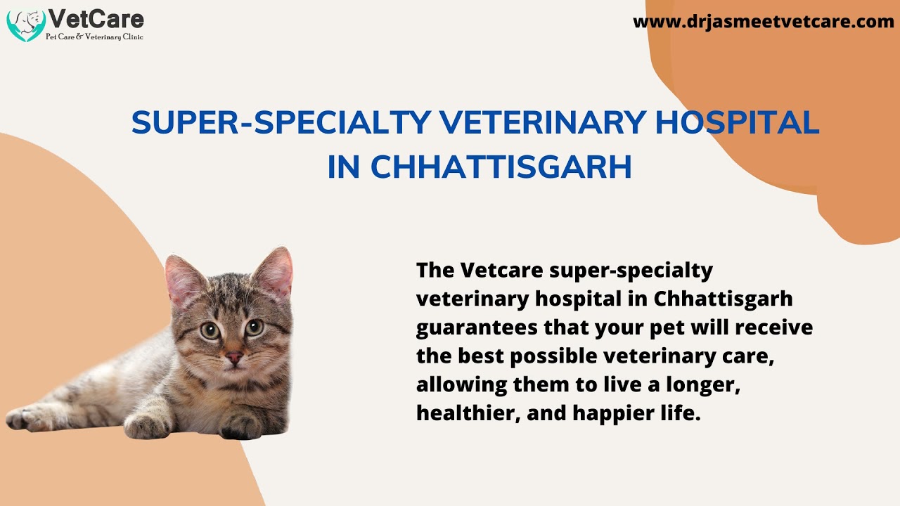 super specialty veterinary hospital in odisha YouTube