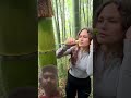 The girls skills amazing. #camping #viralvideo #buscraft #survivalskills #solocamping