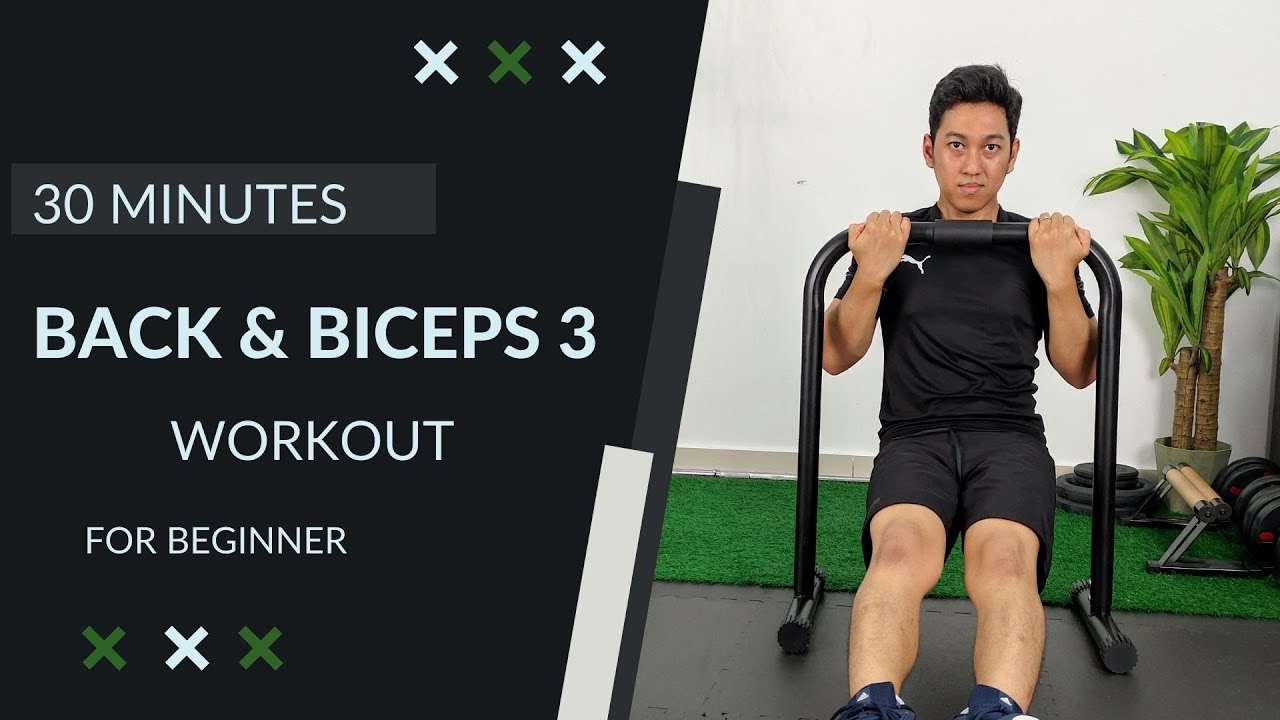 Back and Bicep Workout Calisthenics DAY 30 YouTube