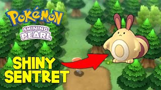 Shiny Sentret in ONE ENCOUNTER (NO SHINY PATCH) - Pokemon Brilliant Diamond/Shining Pearl Shiny Sentret in ONE ENCOUNTER (NO SHINY PATCH) - Pokemon Brilliant Diamond/Shining Pearl