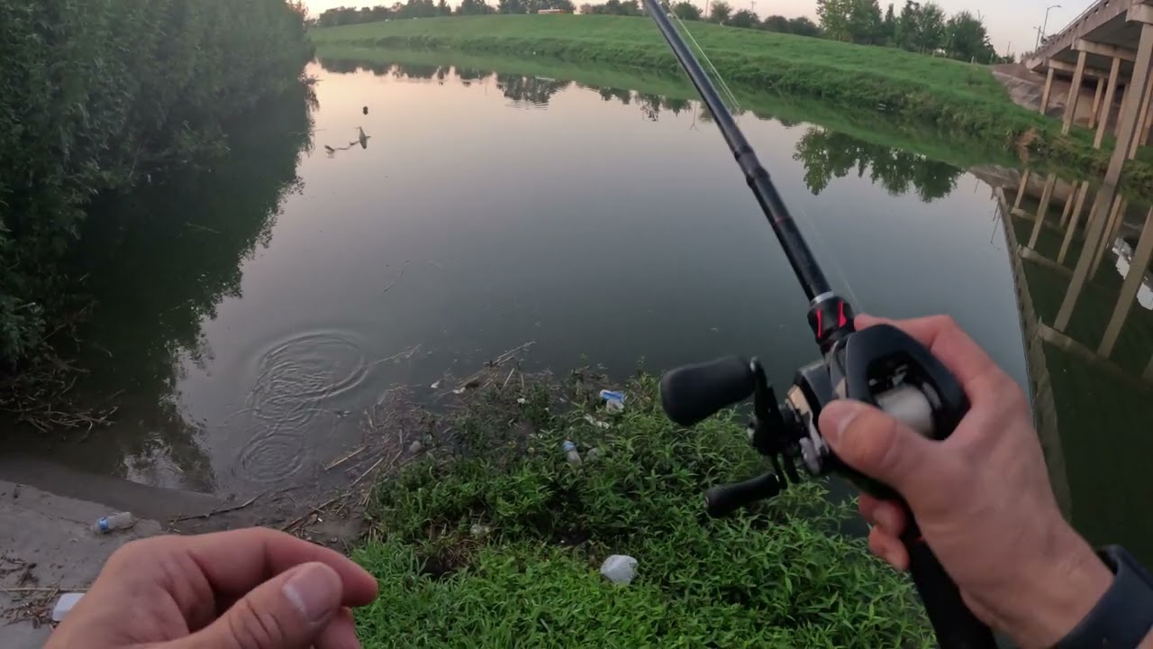4K Bass Fishing in USA Largemouth Bass  Alligator Shimano Calcutta Conquest Casting Reel Megabass