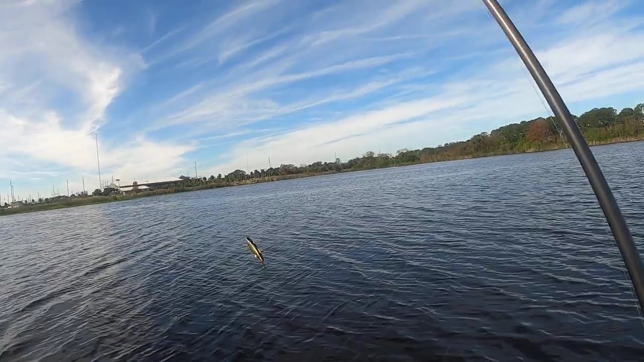 Share your secret bait for bass fishing!