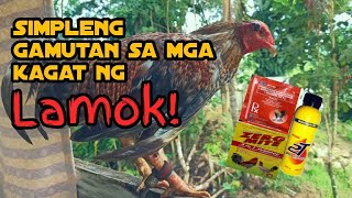 Problem solve! | Simleng gamutan sa mga kagat ng lamok! | #paragmanoktv screenshot 5