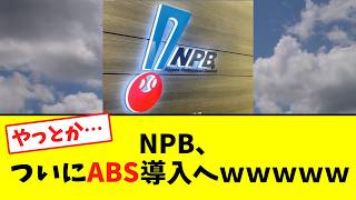 NPB、ついにABS導入へｗｗｗｗｗ【なんｊ反応集】#プロ野球#ABS