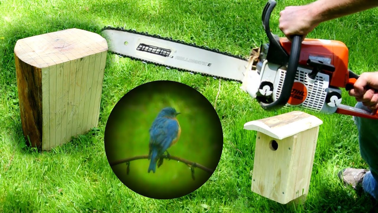 Бензопила + Бревно = Дом Синей Птицы