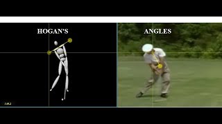 Hogans Angles