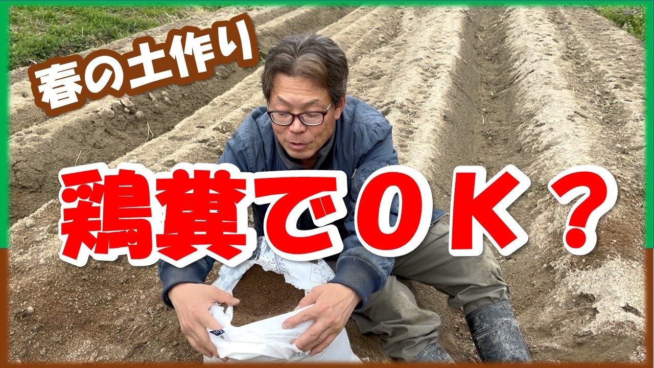 鶏糞信じすぎ問題。微量要素どうなってる？