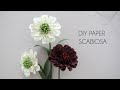 DIY Paper Scabiosa flower (Paper Crafts with Silhouette)