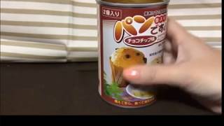 【防災】５年前に焼かれたパン賞味期限最後の日に開けてみた【長期保存食品】パンですよ！チョコチップ味（パンの缶詰め）（字幕は見なくても支障なし）