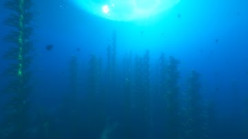 Minecraft Underwater With Shaders and Resource Pack Relaxing (1 Hour)