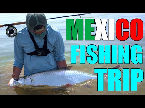 Miniature de la vidéo : Fishing trip MEXICO - TARPON à la Mouche
