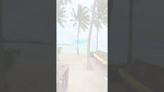 Deluxe Beachfront Bungalow