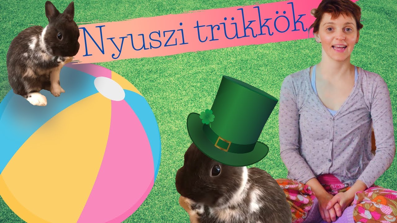 nyúl közös kezelése