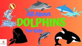 Lets learn about Dolphins &. their types!!!!