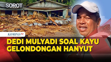 Dedi Mulyadi Soroti Kayu Gelondongan Hanyut Terbawa Banjir di Sumatera