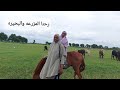 رحنا المزرعه في نيجيريا رحنا المزرعه في نيجيريا