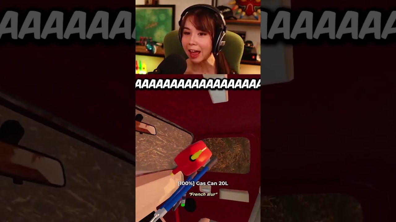 WHO GAVE ME MY DRIVING LICENSE