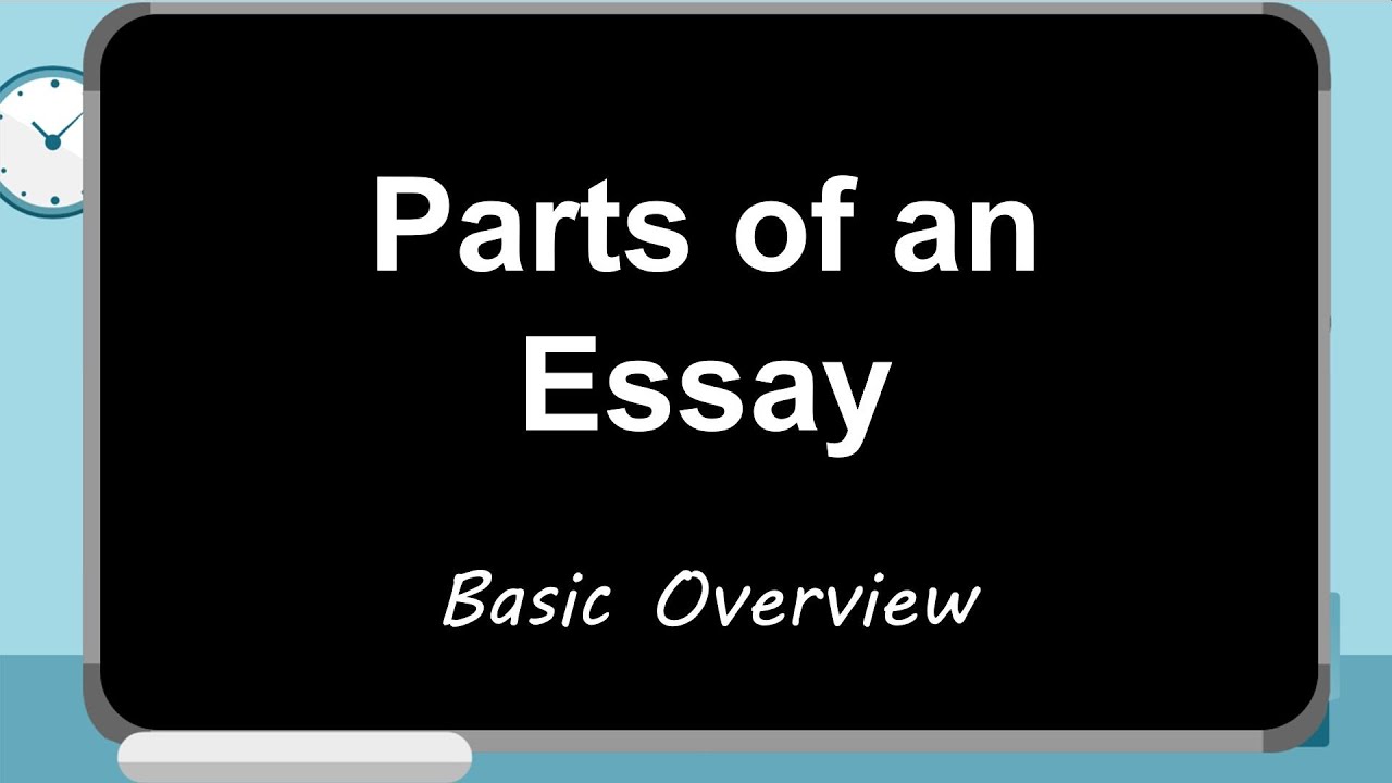 parts of an essay youtube