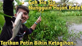 PANEN PATIN SETELAH HUJAN! MANCING PATIN UNTUK MAKANAN TOMAN MONSTER