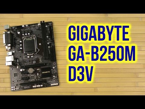 Распаковка Gigabyte GA-B250M-D3V
