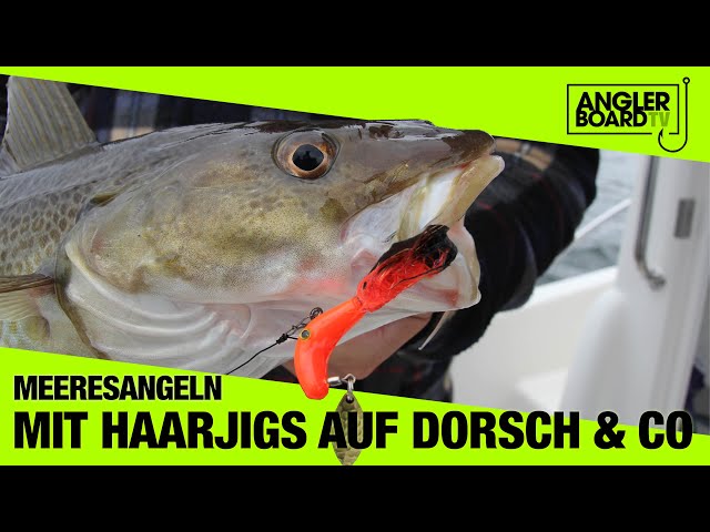 Mit Haarjigs auf Dorsch und Plattfisch angeln | Kder bauen | RUTE & ROLLE  Classic | Anglerboard TV - YouTube