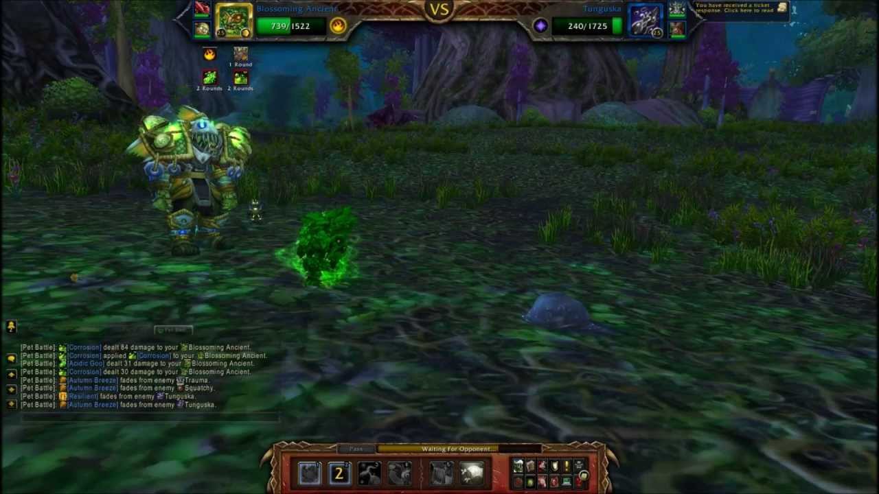 WoW PVP Pet Battles - Blossoming Ancient, Mr Pinchy and Clockwork Gnome's first 3 Pet Battles