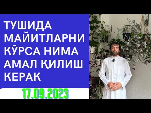 Долзарб Мавзу Майитларни