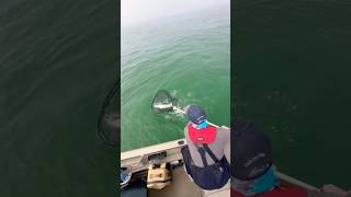 Opening day on the big water! #flyfishing #fishing #ontario #podcast