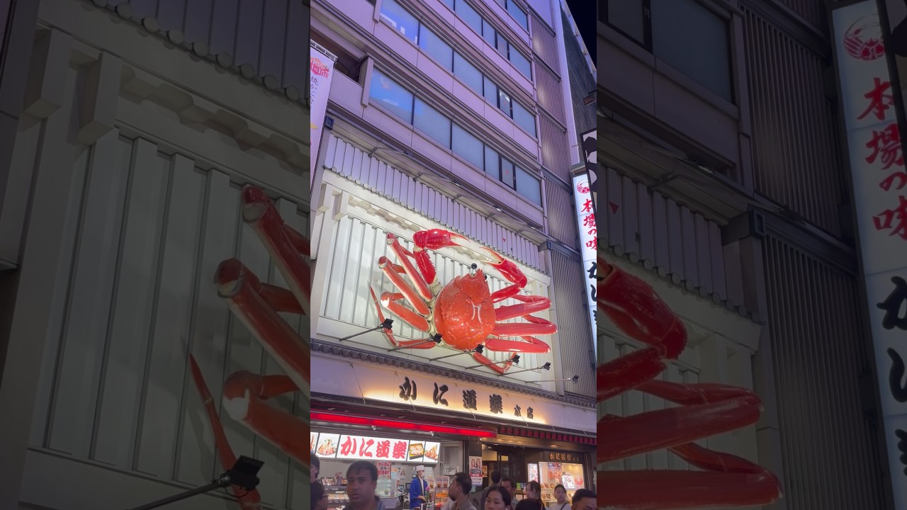 #fantasy #travel #cruiseship #cruise #food #japan #旅行 #nepal